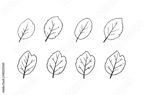 Set of 6 pec in two row  Cinnamon  Leaf line art on white background