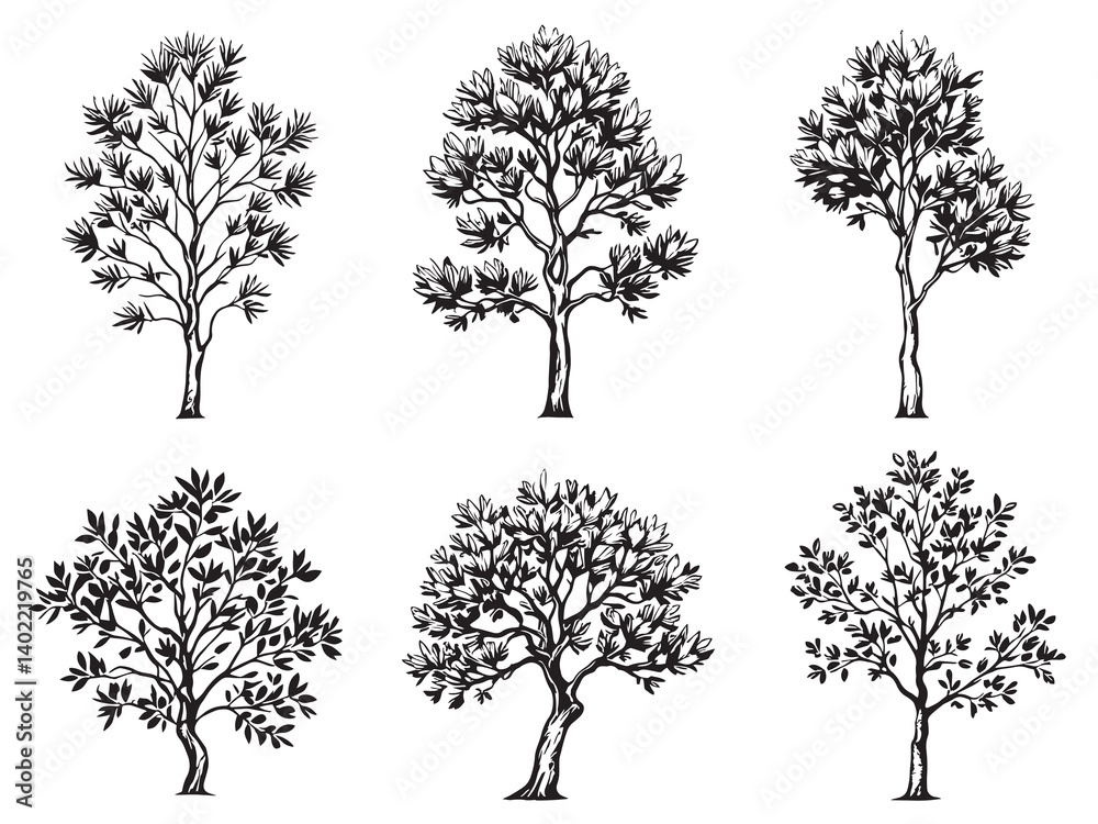Obraz premium Eucalyptus tree clear vision simple black line art on white background