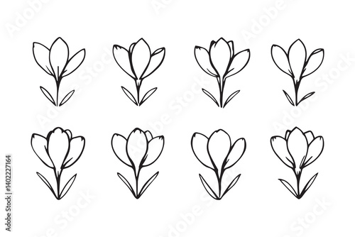 Set of 6 pec in two row  Crocus black line art on white background