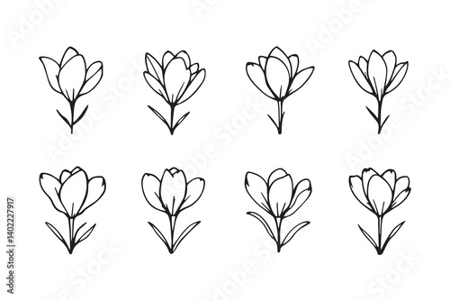 Set of 6 pec in two row  Crocus black line art on white background