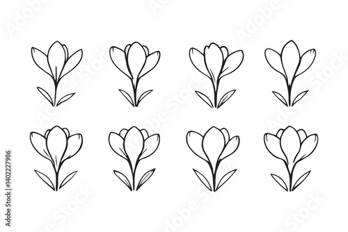 Set of 6 pec in two row  Crocus black line art on white background