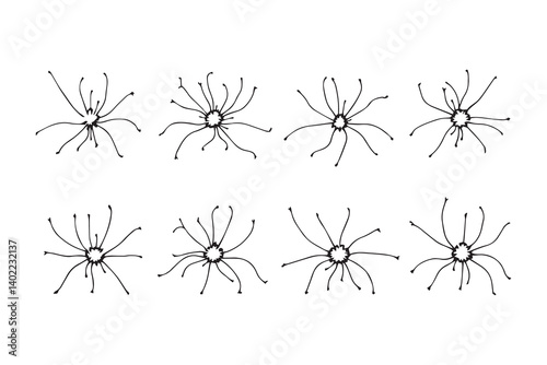 Set of 6 pec in two row  Brassia line art on white background
