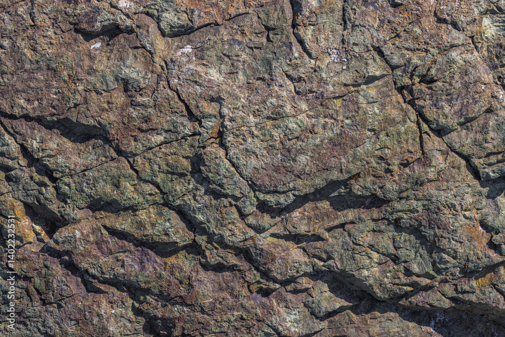 Close-up texture of a rough, multi-toned metamorphic rock surface in Kyrgyzstan.