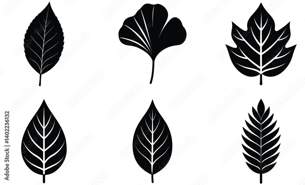 Fototapeta premium leaves Silhouettes vector set with various trees and foliage, ideal for nature and seasonal design