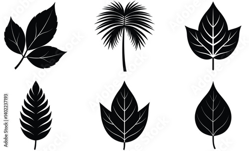 leaves Silhouettes vector set with various trees and foliage including Rain Tree, Flamboyant, Bottle Tree, Eucalyptus, Kapok, Jacaranda tree leaf, ideal for nature and seasonal design