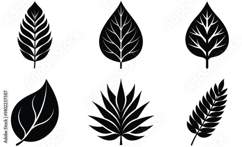 leaves Silhouettes vector set with various trees and foliage including Tamarind, Cashew, Baobab, Dragon Tree, Acacia and Banyan tree leaf, ideal for nature and seasonal design