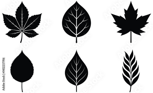 leaves Silhouettes vector set with various trees and foliage including Poplar, Chestnut, Willow, Linden, Mango and Jackfruit leaf, ideal for nature and seasonal design