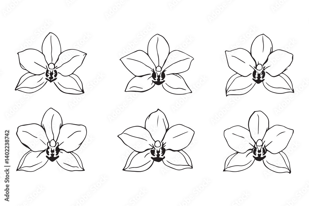 Set of 6 pec in two row Cymbidium line art on white background Set of 6 pec in two row Cymbidium line art on white background