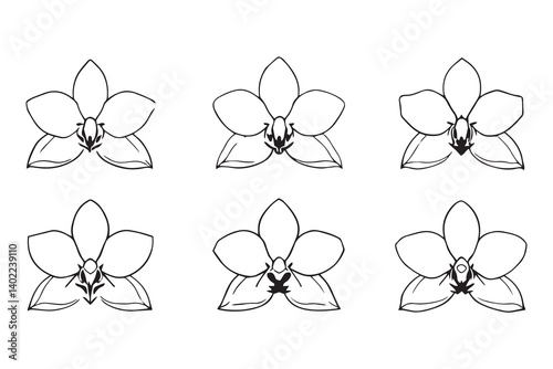 Set of 6 pec in two row  Cymbidium line art on white background