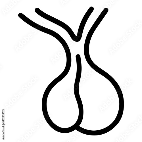 Pituitary Gland Anatomy Master Endocrine Gland Illustration