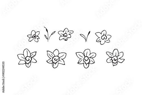 Set of 6 pec in two row  Daffodil black line art on white background