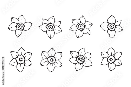 Set of 6 pec in two row  Daffodil black line art on white background