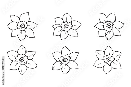 Set of 6 pec in two row  Daffodil black line art on white background