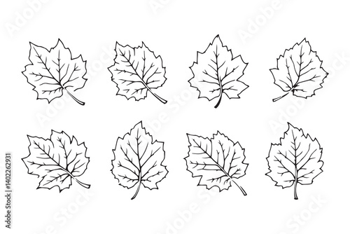 Set of 6 pec in two row  Devil Tree leaf line art on white background