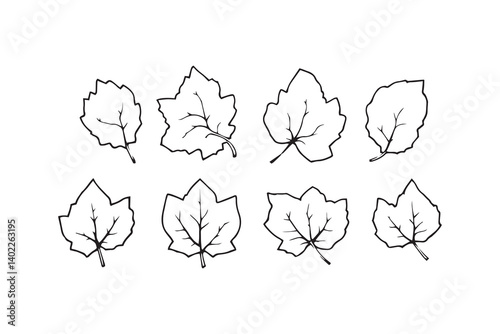 Set of 6 pec in two row  Devil Tree leaf line art on white background 