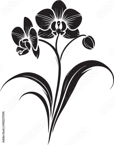 Orchid Flower Silhouette Vector Art