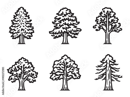 Sequoia Tree Fine Line Art Collection