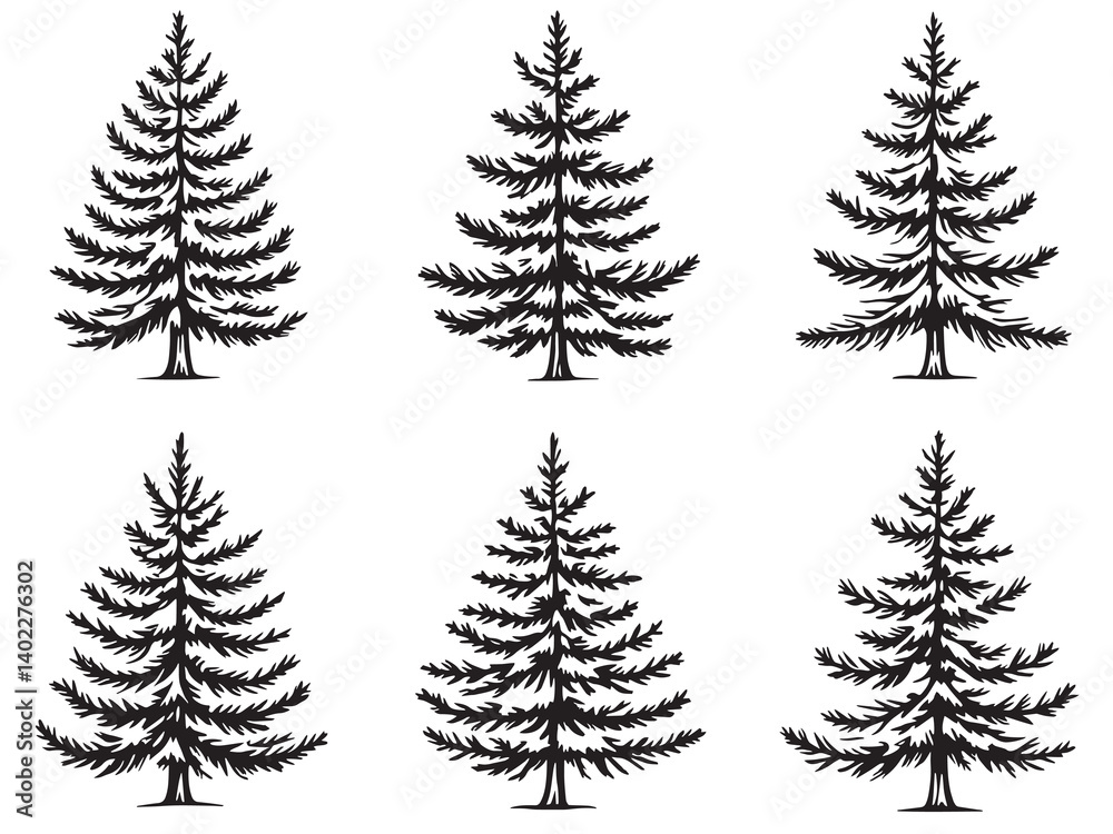 Fototapeta premium Spruce Tree Simple Botanical Line Drawing Set