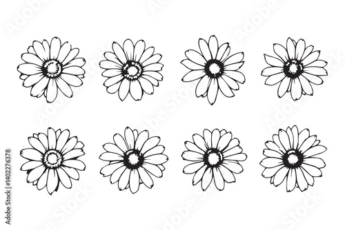 Set of 6 pec in two row  Echinacea line art on white background