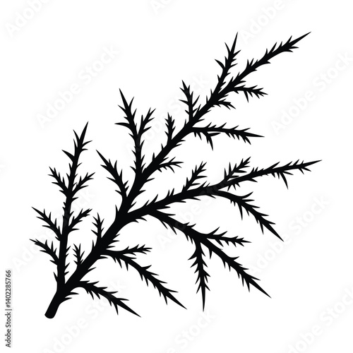 silhouette of a plant