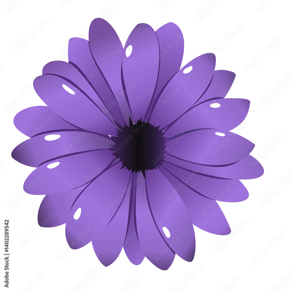 Fototapeta premium Purple Aster Floral Element in Flat Simple Design