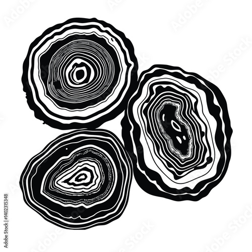 Natural Agate Coasters isolated on white, a metallic set of circle objects