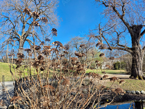 Photography Park
