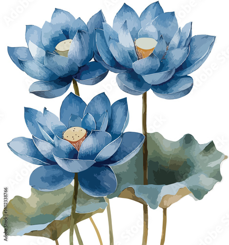 Beautiful blue water lilies, resembling lotus flowers, bloom in the aquatic garden pond