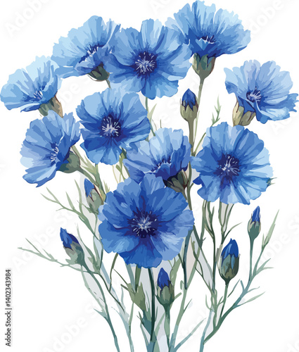 A beautiful bouquet of blue and white flowers showcases nature's floral beauty with violet and white petals
