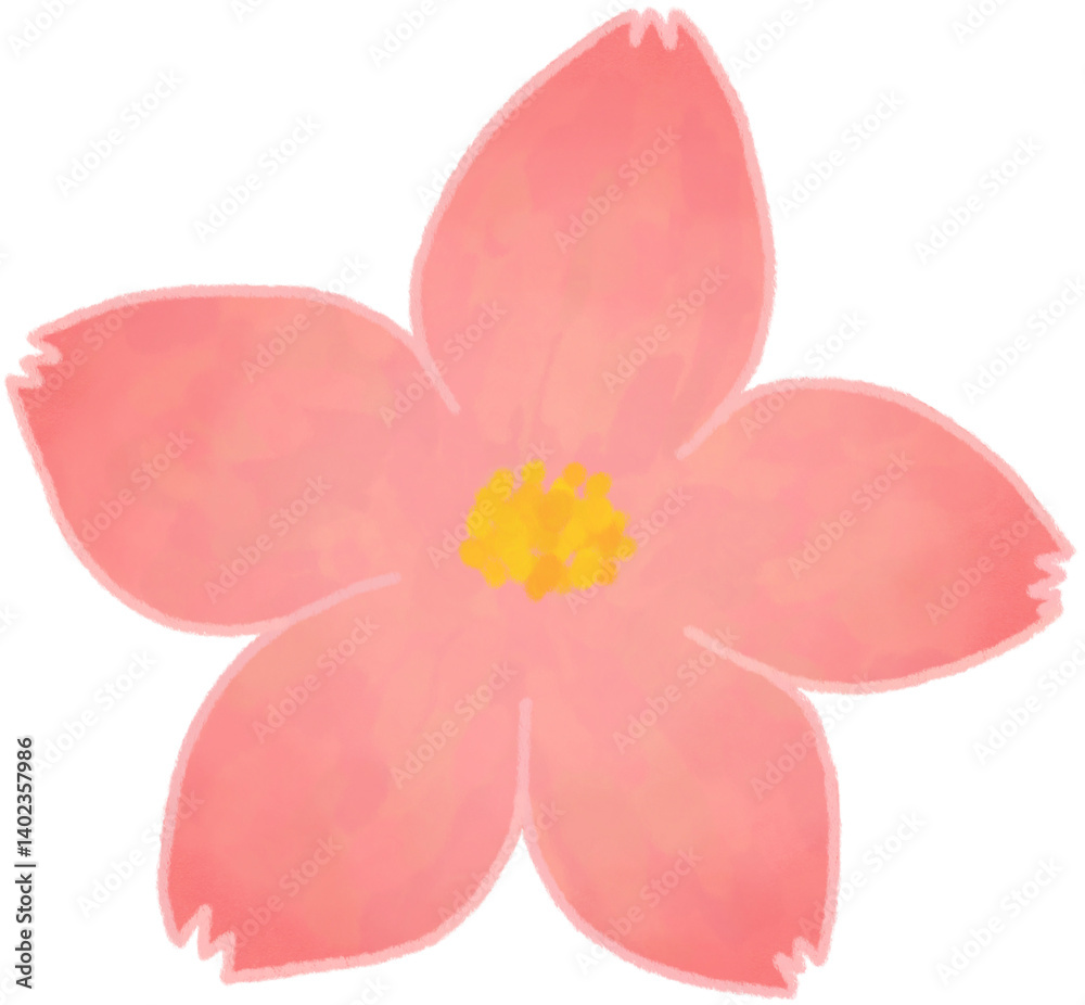 Fototapeta premium 벚꽃