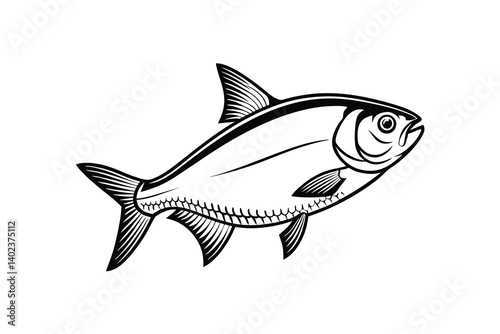 American Gizzard Shad fish vector, Fish silhouette