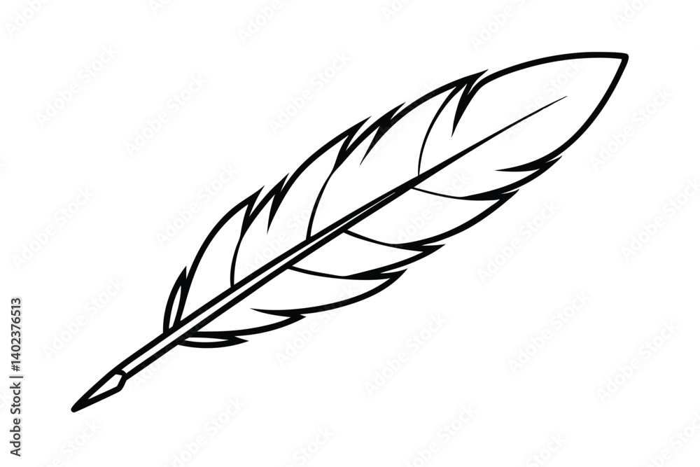 Fototapeta premium a feather with delicate barbs 
