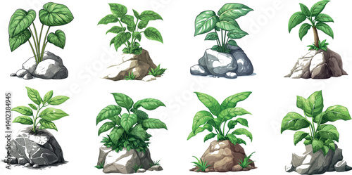 Various Vector Illustrations of Isolated Plants on Rocky Surfaces Showcasing Diverse Greenery