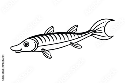a lone barracuda searches for friendship does it s