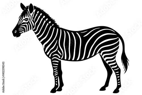 zebra vector illustration