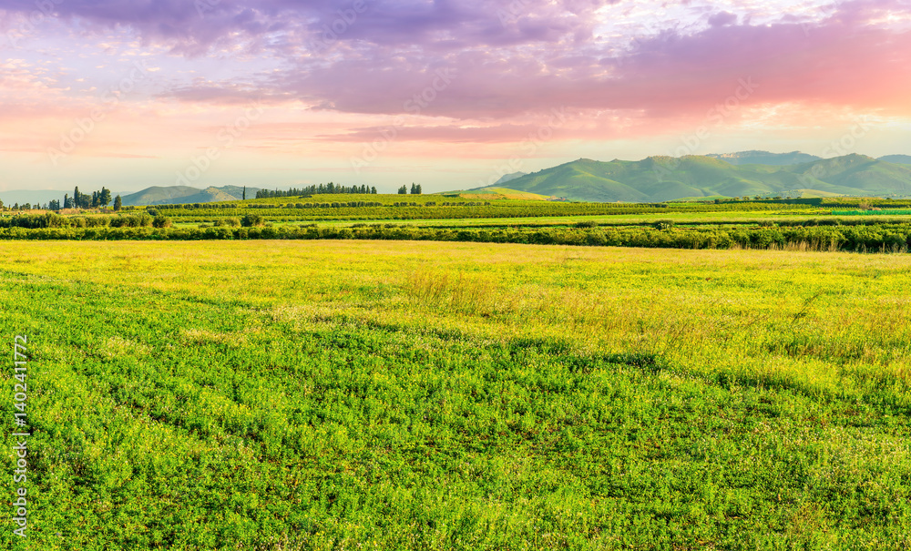 Fototapeta premium Scenic view at beautiful spring or summer sunset in a shiny meadow with golden grass and sun rays, deep beautiful cloudy sky and road, valley landscape