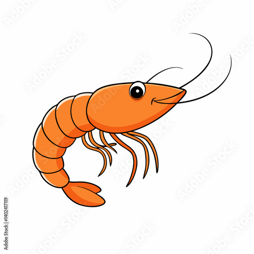 shrimp vector illustration