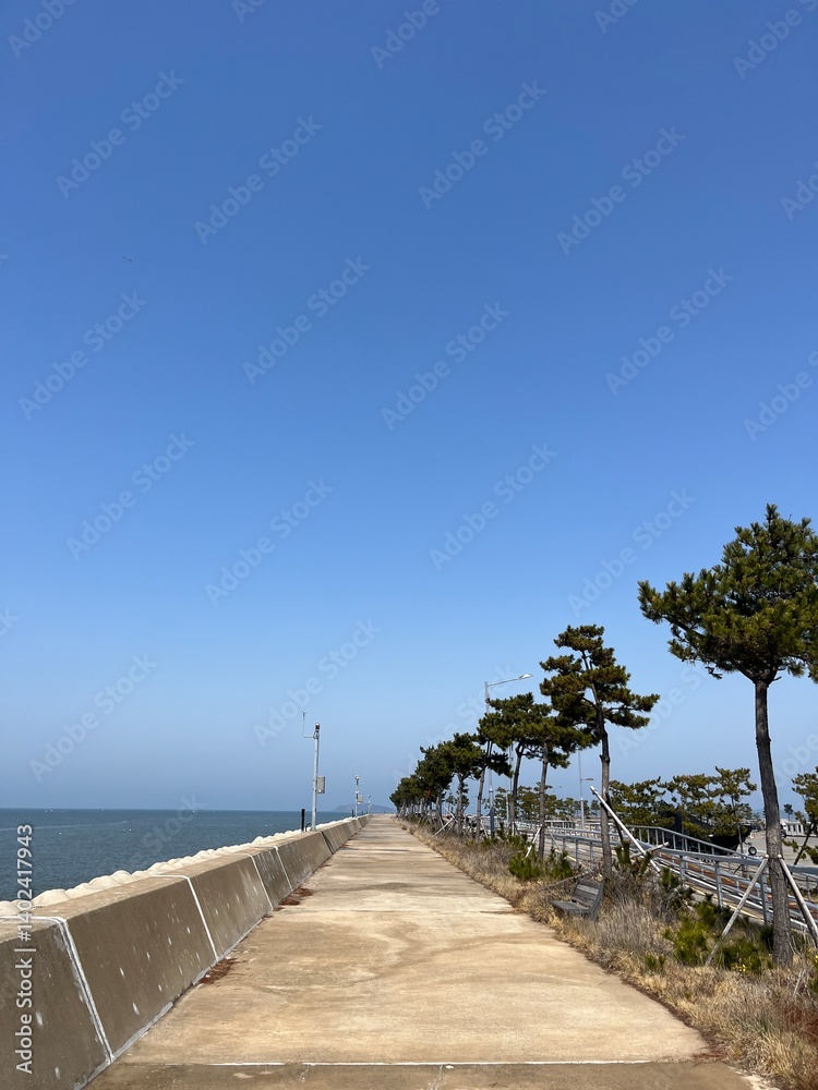 Fototapeta premium path to the sea