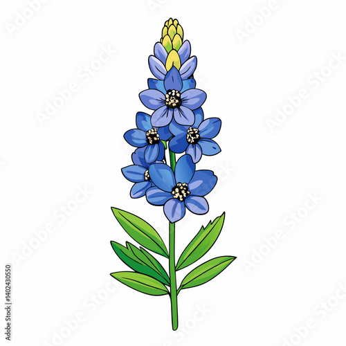 forget me not