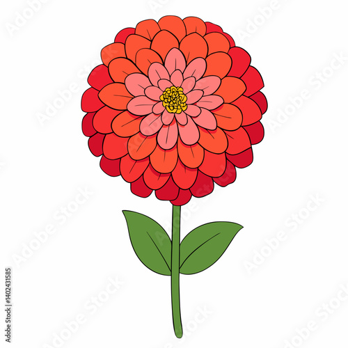 red dahlia flower