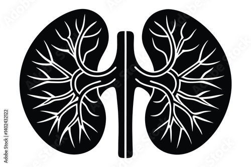 Black and white kidneys illustration: Anatomical renal diagram showing the organ structure