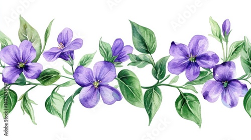 Watercolor purple flowers and green leaves seamless border illustration illustration