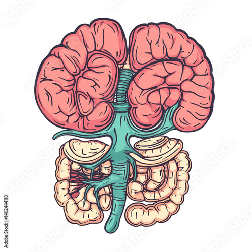 Detailed Illustration of Human Urinary System Anatomy