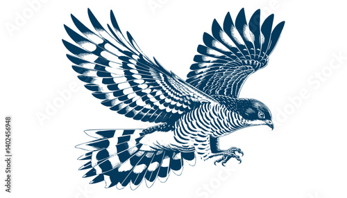 baza bird vector