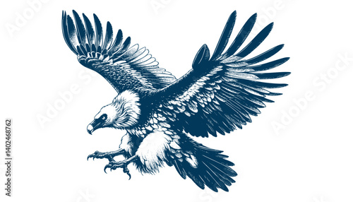 bearded vulture vector