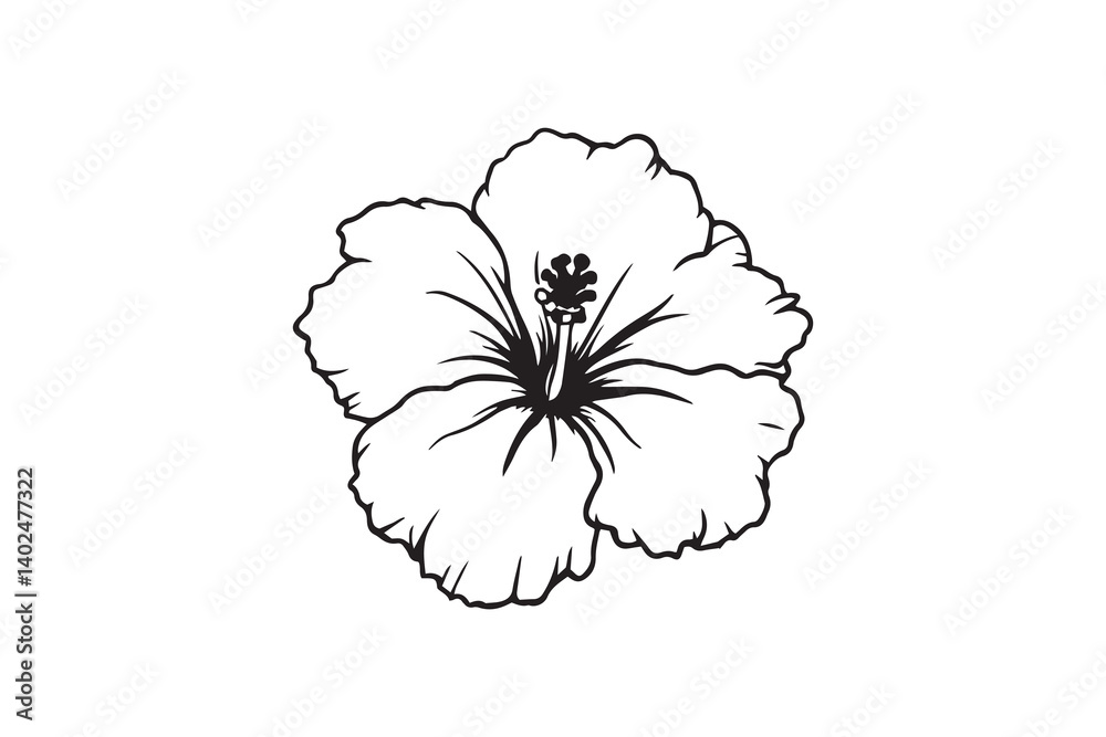 Fototapeta premium Hibiscus black line art