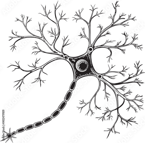 Neuron Neural Connection Black and White Vector Illustration, Sketch Drawing Line Linear Symbol Icon Engraving, Hand-drawn Isolated