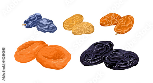 Dried fruits set. Raisins, dried apricots and prunes. Vector cartoon flat illustration.