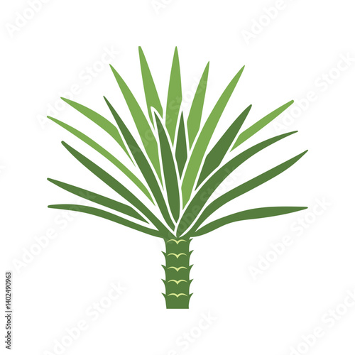 Agave Plant Simplified Spiky Agave Leaves Fanning Vector Illustration