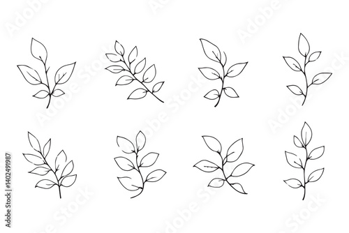 Honey Locust leaf line art